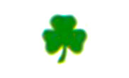 Shamrock