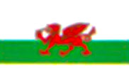 Welsh Dragon Flag A