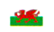 Welsh Dragon Flag B