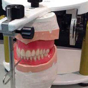 teeth